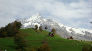 Near Grindelwald